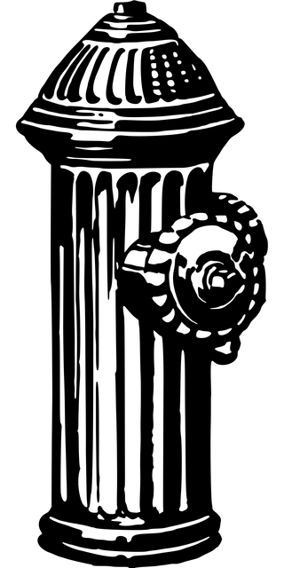 npressfetimg-1678.png