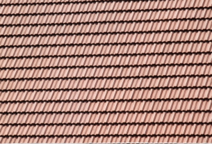 npressfetimg-1711.png