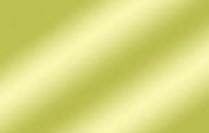 npressfetimg-1733.png