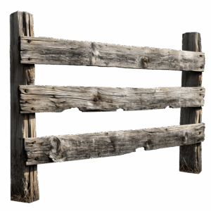 npressfetimg-1809.png