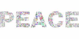 npressfetimg-2493.png