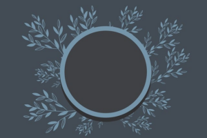 npressfetimg-2559.png