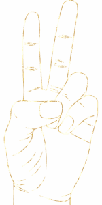 npressfetimg-2954.png