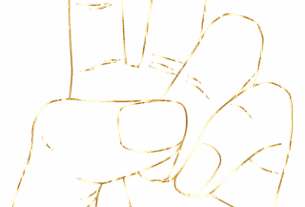 npressfetimg-2954.png