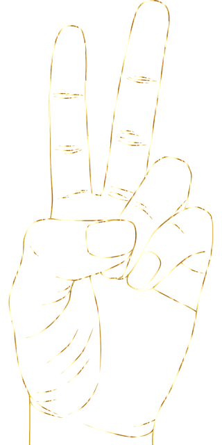 npressfetimg-2954.png