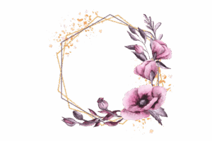 npressfetimg-3044.png