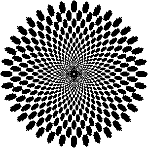 npressfetimg-3338.png
