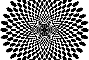 npressfetimg-3338.png