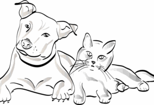 npressfetimg-3466.png