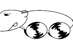 npressfetimg-479.png