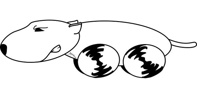 npressfetimg-479.png