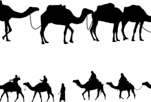 npressfetimg-532.png