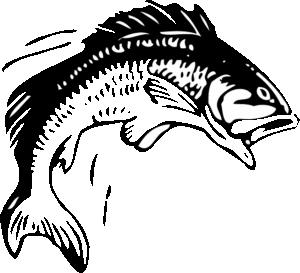 npressfetimg-871.png