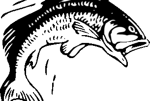 npressfetimg-871.png