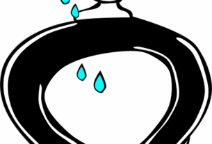 npressfetimg-923.png