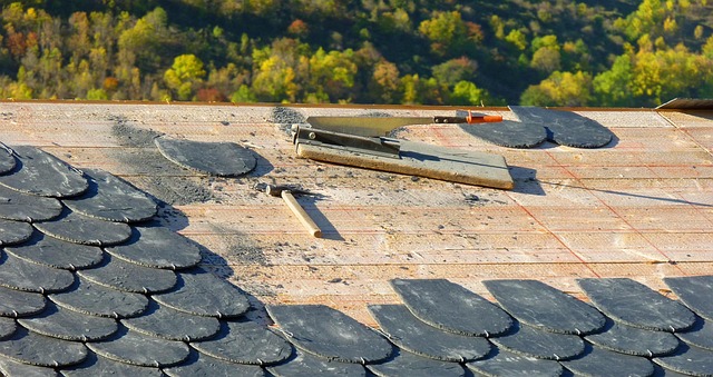 polycarbonate roof