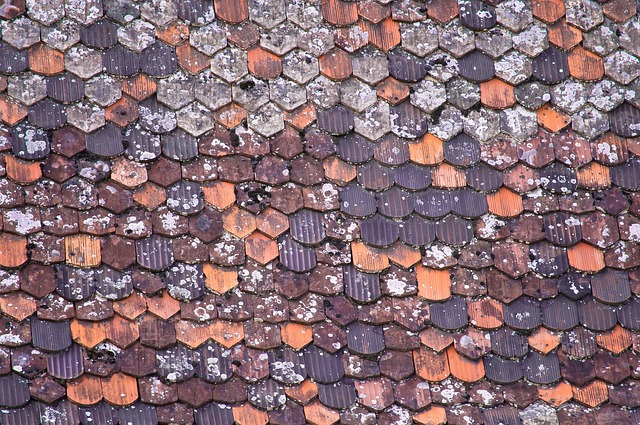polycarbonate roof