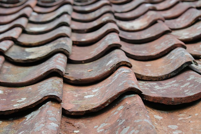 polycarbonate roof