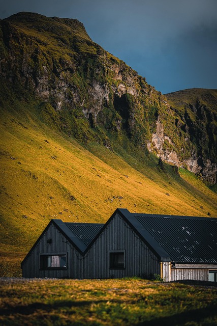 rent houses