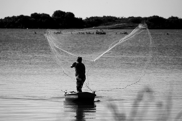 river fishing for trout