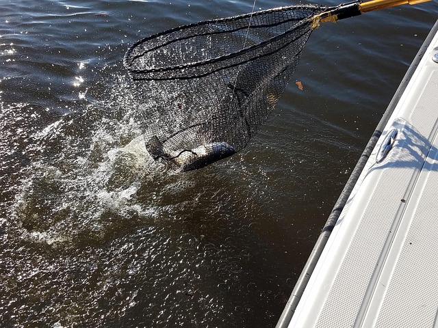 river fishing for trout