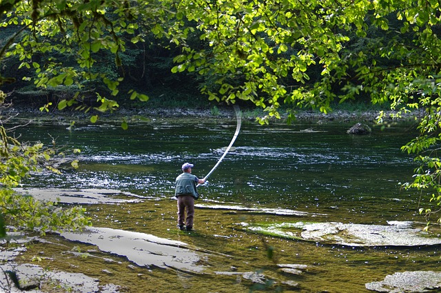 river fishing for trout
