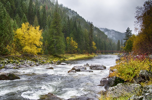 river fishing for trout
