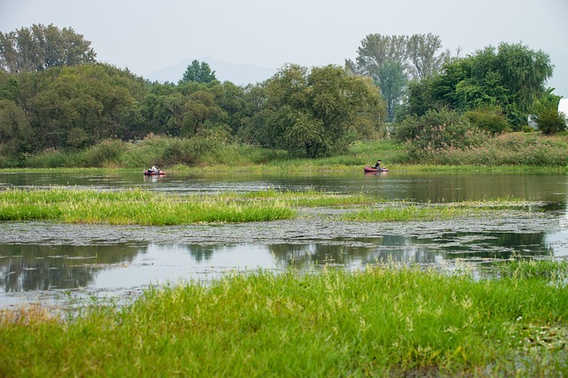river fishing for trout