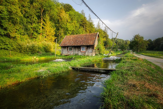 river fishing for trout