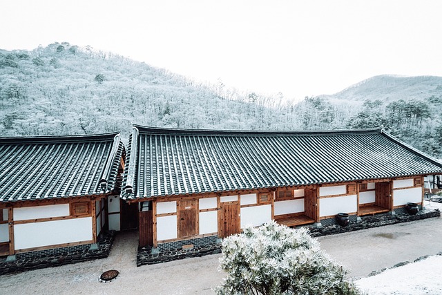 roofing, steel roofing, roof, house roof