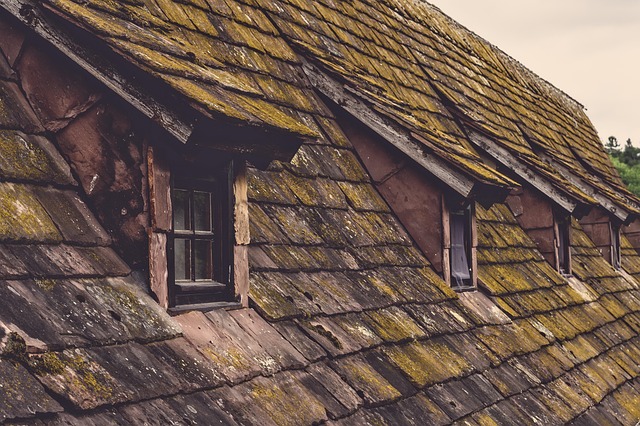 roofing, steel roofing, roof, house roof