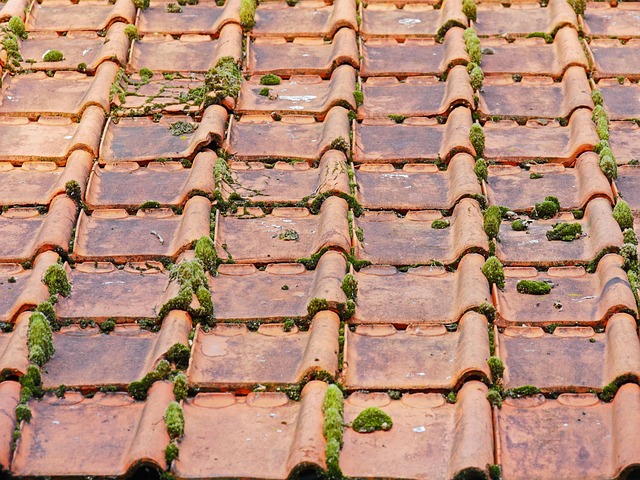 roofing, steel roofing, roof, house roof