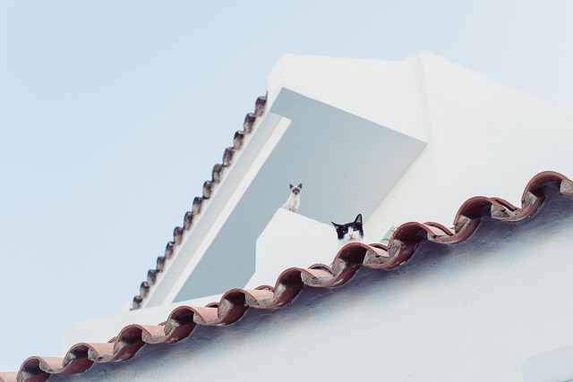 roofing, steel roofing, roof, house roof