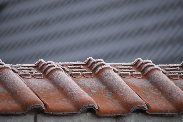 roofing, steel roofing, roof, house roof