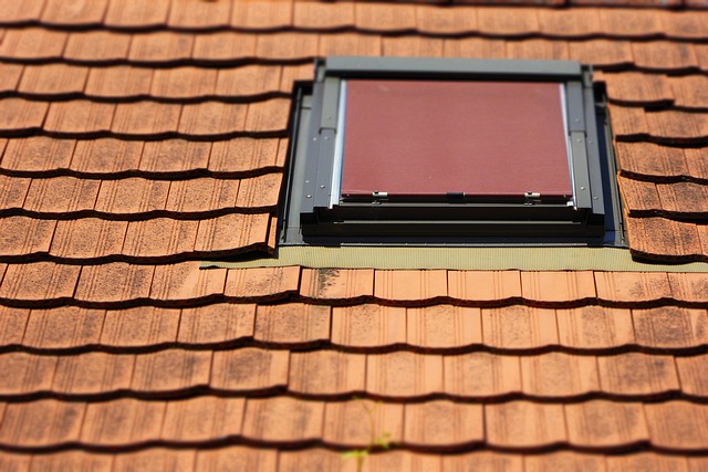 roofing, steel roofing, roof, house roof