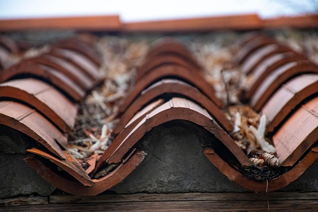 roofing, steel roofing, roof, house roof