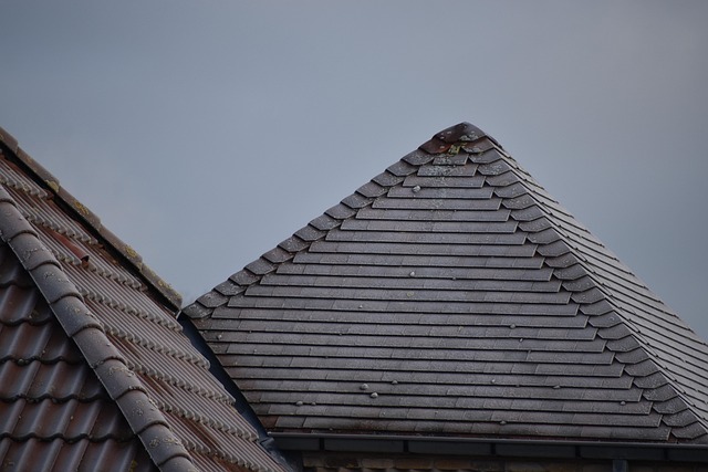 roofing, steel roofing, roof, house roof