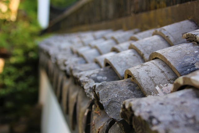 roofing, steel roofing, roof, house roof