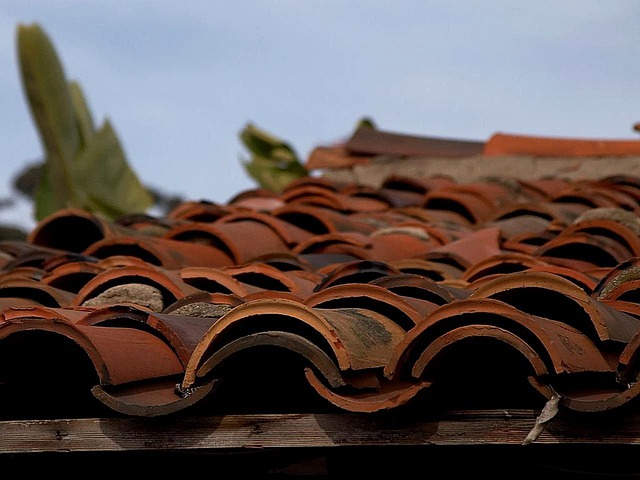 roofing, steel roofing, roof, house roof