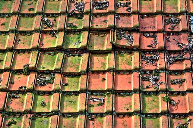 roofing, steel roofing, roof, house roof