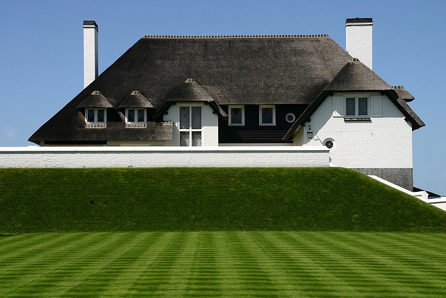 roofing, steel roofing, roof, house roof