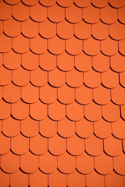 roofing, steel roofing, roof, house roof