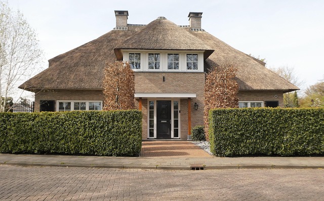 roofing, steel roofing, roof, house roof
