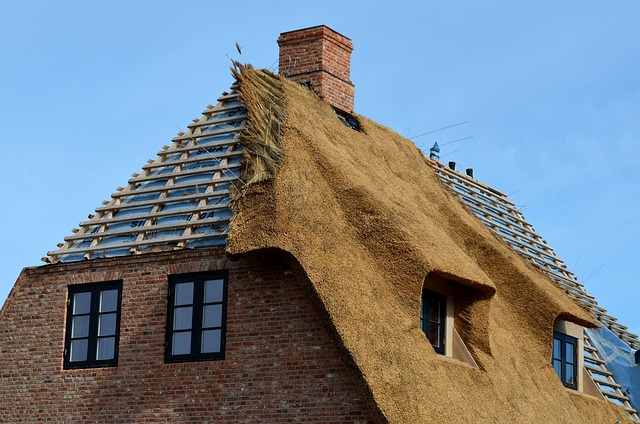 roofing, steel roofing, roof, house roof