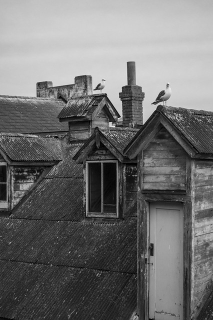 roofing, steel roofing, roof, house roof