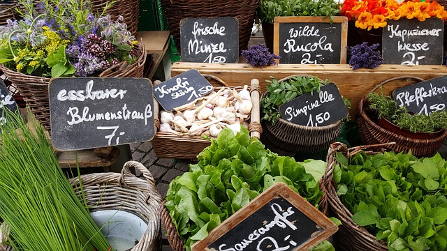 share market course