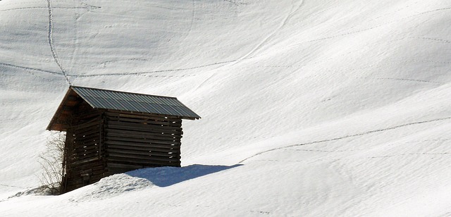 sheds