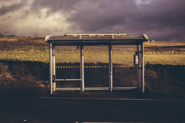 sheds