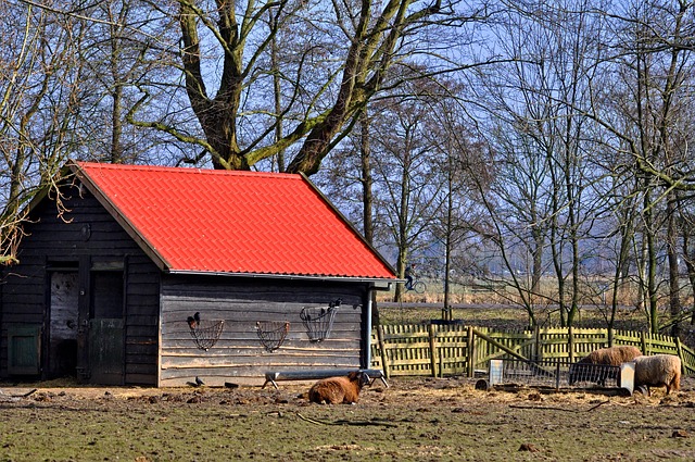 sheds