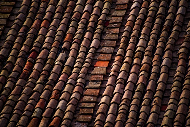 steel roofing